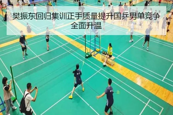 樊振东回归集训正手质量提升国乒男单竞争全面升温（Leyu）
